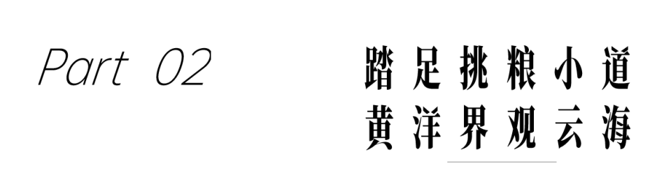 微信图片_20241128161007.png