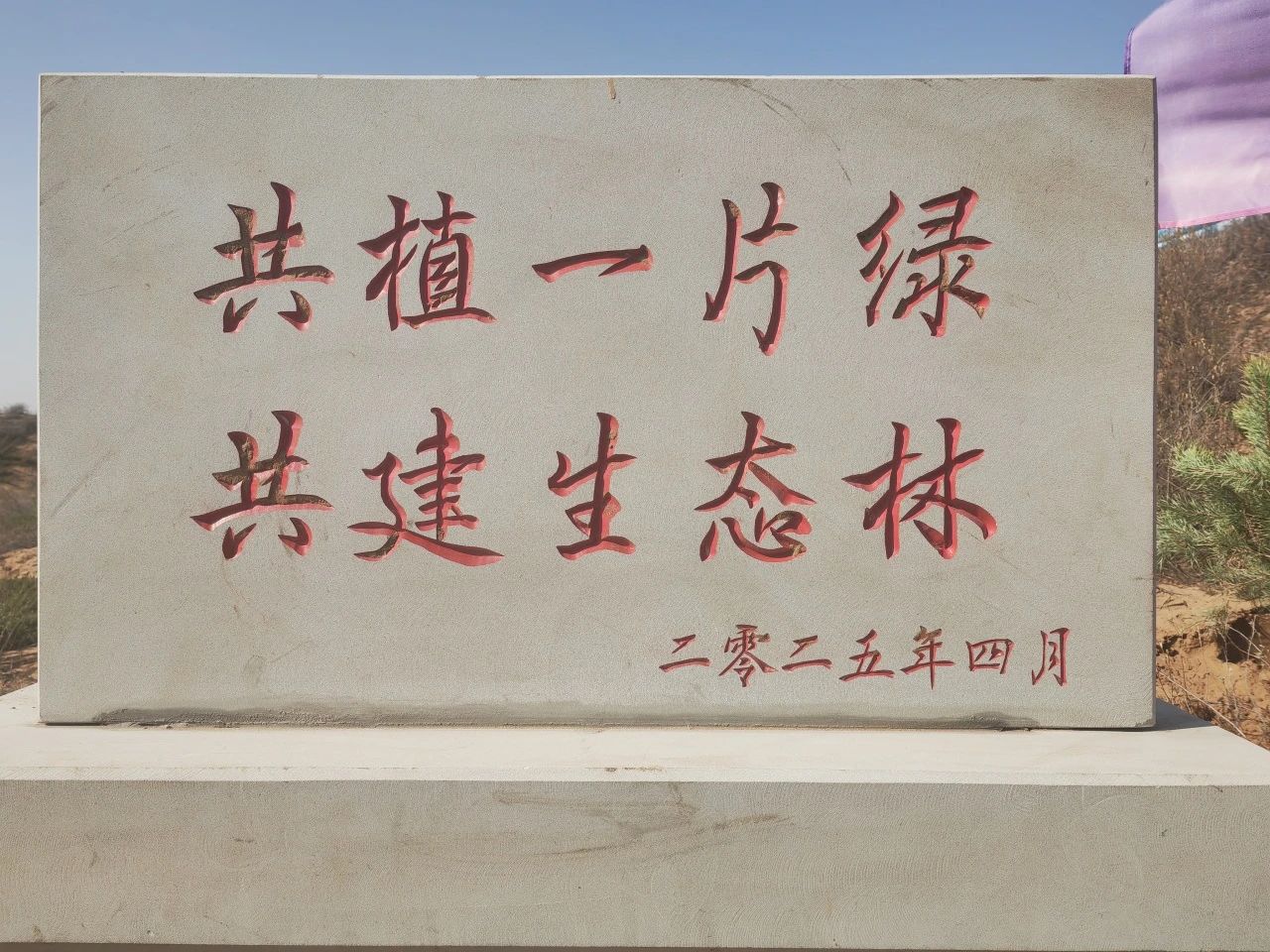 微信图片_20250414100128.jpg